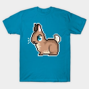 Tiny Flemish Giant T-Shirt